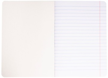 ШКОЛЬНАЯ КНИГА НА ПОДКЛАДКЕ VIBE, ФОРМАТ A5/60K REXUS