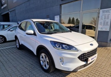 Ford Kuga III SUV 1.5 EcoBoost 150KM 2020 Ford Kuga 1.5 EcoBoost 150 KM Trend Winter, Salon PL 1.5 Benzyna 150KM, zdjęcie 2
