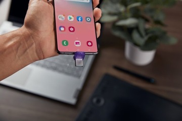 KINGSTON FLASH 256 ГБ USB3.2 DataTraveler microDuo3C