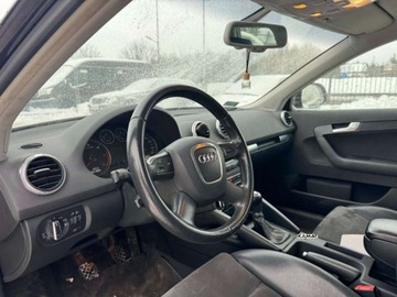 Audi A3 8P Hatchback 3d 2.0 TDI PD 140KM 2008 Audi A3 Sportback Audi A3 Sportback 2,0 Diesel Bogate Wyposazenie Hak Zami, zdjęcie 2