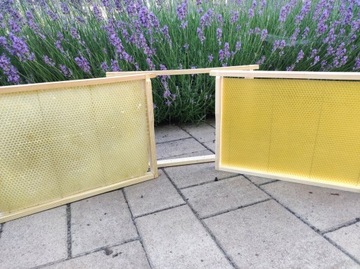 Węza WIELKOPOLSKA WL 5кг натуральный ПЧЕЛИНЫЙ воск