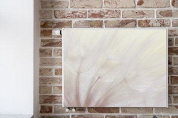 МАГНИТНАЯ КРЫШКА на радиатор Одуванчик 120х60