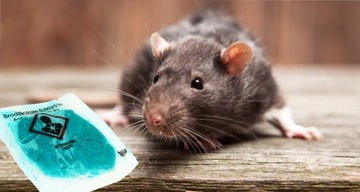 СИЛЬНАЯ ПРИМАНКА ДЛЯ МУЖЧИН + СИЛЬНЫЙ ЯД ДЛЯ ГРЫЗУНОВ