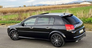 Opel Signum 2.8 V6 turbo ECOTEC 250KM 2008 Opel Signum Opel Signum 2.8 V6 Turbo S Sport 2.8 Benzyna 250KM, zdjęcie 3