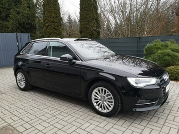 Audi A3 8V Hatchback 3d 2.0 TDI 150KM 2013 Audi A3 2.0 TDI 150KM Klimatronic Tempomat Nawi, zdjęcie 3