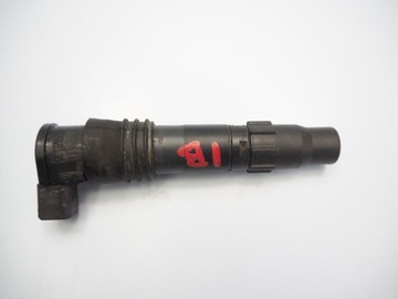 SUZUKI GSF 1250 BANDIT 07-12 CEWKA FAJKA