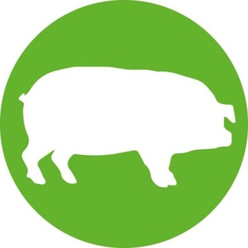 TU-Flex-Master A шприц 50 мл LL 8300028722