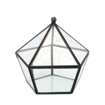 Nieregularny geometryczny szklany terrarium na rośliny powietrzne, czarny