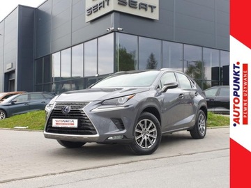 Lexus NX Comfort