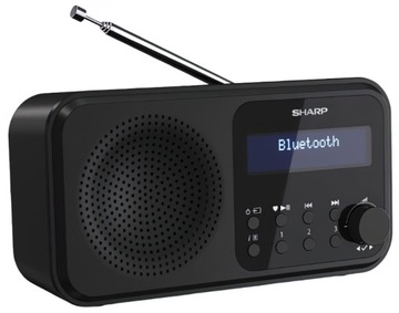 Radio DR-P420 Czarny