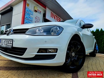 Volkswagen Golf VII Hatchback 3d 1.6 TDI-CR DPF 105KM 2013 Volkswagen Golf Hatchback zarejestrowany niski przebieg nawigacja 1.6 105KM, zdjęcie 5
