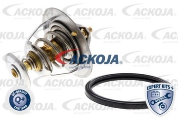Ackoja A37-99-0004 Termostat, środek chłodzący
