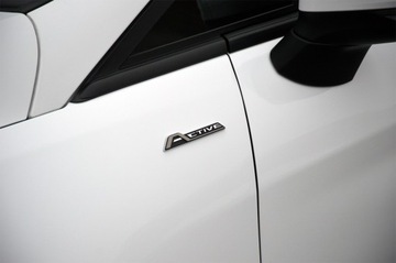 Ford Fiesta VIII Hatchback 3d 1.0 EcoBoost 100KM 2019 Ford Fiesta Active 1.0i 100PS 50 tys km Jak nowa Przepiekna! GWARANCJA!, zdjęcie 16