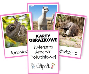 KARTY OBRAZKOWE zwierzęta Ameryki Płd. Montessori REALNE ZDJĘCIA 7x10cm