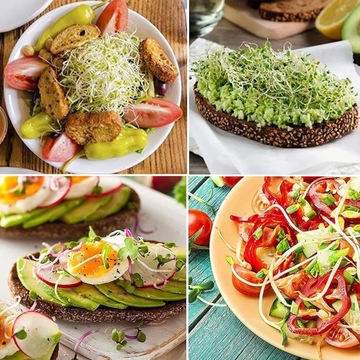 Набор для проращивания Контейнер для семян и ростков емкостью 1000 мл.