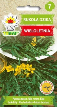 RUKOLA DZIKA WIELOLETNIA DO WIELOKROTNEGO ZBIORU OBFITE PLONY NASIONA 1G