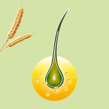 ПРИОРИН ШАМПУНЬ ДЛЯ ТОНКИХ И ОСЛАБЛЕННЫХ ВОЛОС 200МЛ