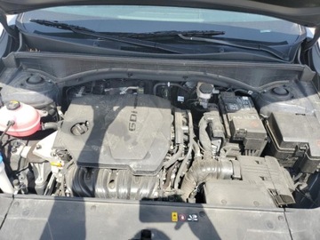 Kia Sorento IV 2024 Kia Sorento 2024r., 2.5L 2.5 Benzyna 191KM, zdjęcie 11