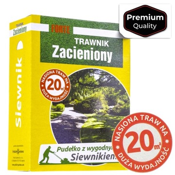 TRAWA NASIONA ZAGĘSZCZAJĄCA TRAWNIK ZACIENIONY 0.5 kg 20 m2 WIELOLETNI