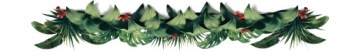 КОФЕ В ЗЕРНАХ ЭФИОПИЯ Йиргачеффе Свежеобжаренный - 100% АРАБИКА - СИНЯЯ КАСАТКА