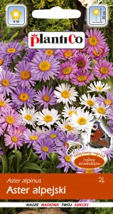 Nasiona Aster alpejski MIX 0,3g.