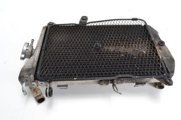 Водяной радиатор SUZUKI BURGMAN 650 13-17