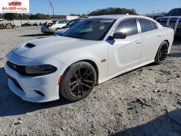 Dodge Charger VII 2023 Dodge Charger 2023r., ScatPack, od ubezpieczalni 6.4 Benzyna 485KM