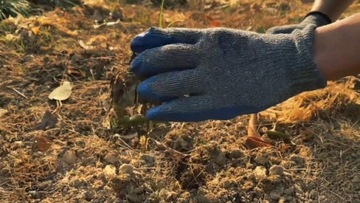 НАБОР XL 26в1 Садовая лопатка Грабли Мотыга Когти Цветочные горшки Перчатки