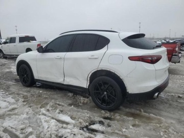 Alfa Romeo Stelvio 2021 Alfa Romeo Stelvio 2021r., 2.0L 2.0 Benzyna 280KM, zdjęcie 2