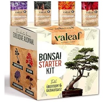 ZESTAW STARTOWY DO UPRAWY BONSAI W DOMU DLA POCZĄTKUJĄCYCH 4 RODZAJE NASION