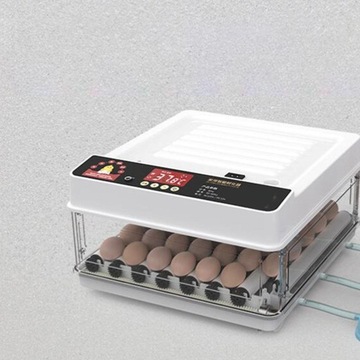 Automatyczny inkubator jaj. Automatyczny inkubator jaj 24Eggs