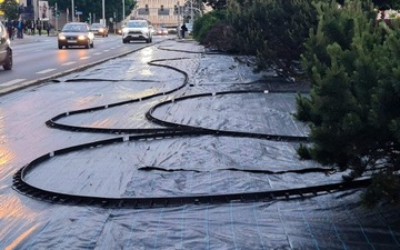 Бордюр газонный Eko Border 50 м + 200 анкеров
