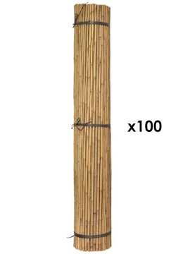 Tyczka bambusowa 120 cm x 6/8 mm 100 szt.