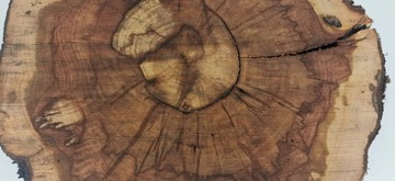 Ломтик яблока 41x40см, дерево для стола из смолы