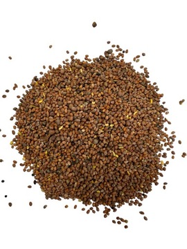 RZODKIEW OLEISTA 2kg