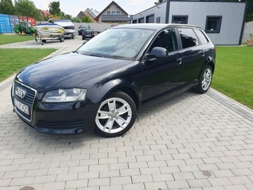 Audi A3 8P Hatchback 3d 1.9 TDI 105KM 2008 Audi A3 1.9tdi 105KM Sportback LIFT Raty Zamian, zdjęcie 26