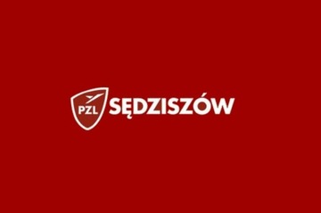 PZL Sędziszów WA30450 Filtr powietrza