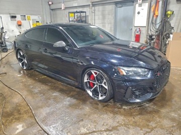Audi A5 F5 2023 Audi RS5 Coupe 2.9l 2023 2.9 Benzyna 444KM, zdjęcie 4
