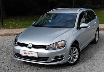 Volkswagen Golf VII Variant 1.6 TDI BlueMotion  110KM 2015 Volkswagen Golf 1,6 Tdi Navi Alufelgi Klimatronik Po oplatach z Niemi, zdjęcie 28