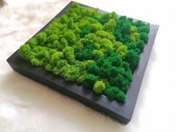 Картинка из храбрых, 27x27 см, премиум -финского моха