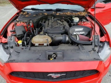 Ford Mustang VI Convertible 2.3 EcoBoost 317KM 2015 Ford Mustang 2015 FORD MUSTANG 2.3 Benzyna 317KM, zdjęcie 6