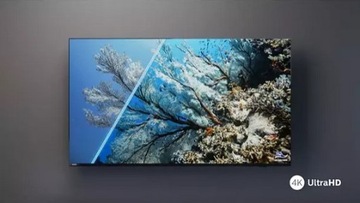 Телевизор PHILIPS 43PUS7608/12 43 дюйма, светодиодный, 4K, Dolby Atmos, Dolby Vision