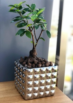 Цветочный горшок с керамической крышкой, квадратный, серебро, 3D, H14