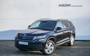 Skoda Kodiaq I SUV 2.0 TDI 150KM 2020 Skoda Kodiaq 2,0 TDI 150 KM 2.0 Diesel 150KM, zdjęcie 2