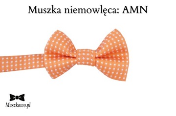 Подтяжки и галстук-бабочка для детей 0-18 м ЦВЕТНАЯ РАДУГА