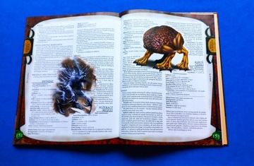 Dungeons & Dragons D&D Руководство по псионике (изд. ISA), RPG изд. Польский УНИКАЛЬНЫЙ