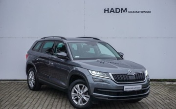 Skoda Kodiaq I SUV 1.5 TSI ACT 150KM 2019 Skoda Kodiaq 1.5TSI 150KM 4x4 DSG Business Nawigacja Kamera Bluetooth Lamp