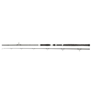 Penn Wędka Legion Cat Silver Allround 240/300g