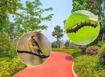 БИНОКУЛЯРНАЯ ЛИНЗА SURVIVAL MONOCULAR 40x60 RISCOPE