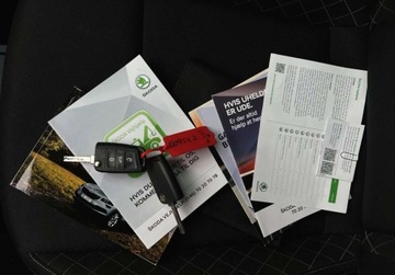 Skoda Karoq Crossover 1.6 TDI 115KM 2018 Skoda Karoq 1.6 TDI DSG GWARANCJA zarejestrowana 1.6 Diesel 115KM, zdjęcie 31